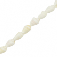 Perles coquillage buccin Blanc (couleur naturelle)
