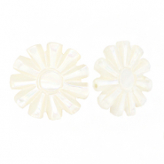 Perles coquillage soleil Blanc (couleur naturelle)