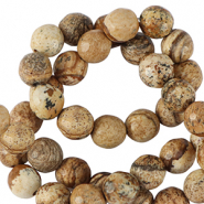 Pierres naturelles Jaspe Dalmatien 4mm facettées Marron bronze