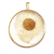 Pendentifs avec fleurs s&eacute;ch&eacute;es Dor&eacute;-beige