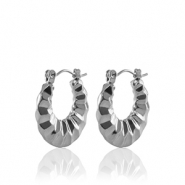 Boucles d'oreilles en acier Inox créoles 20mm Argenté