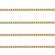 Appr&ecirc;ts en acier Inox cha&icirc;ne maille jaseron gourmette D&oacute;re