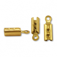 Appr&ecirc;ts en acier inox  fermoir pour lacet Dor&eacute;