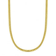 Colliers en acier Inox Dor&eacute;