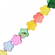 Perles coquillage fleur Multicolore