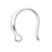 Appr&ecirc;ts en acier inox boucles d'oreilles crochet Argent&eacute;