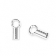 Appr&ecirc;ts en m&eacute;tal DQ Eco-brass&reg; embout Argent&eacute; antique (sans nickel)