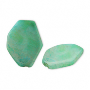 Pierres naturelles perles Agate hexagone Vert-blanc