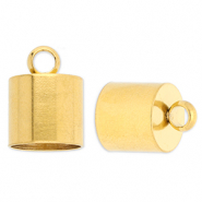 Appr&ecirc;ts en acier Inox embout &Oslash;10 mm avec anneau Dor&eacute;