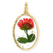 Pendentifs avec fleurs s&eacute;ch&eacute;es ovale Dor&eacute;-rouge-vert