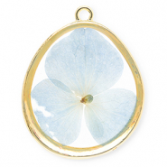 Pendentifs avec fleurs s&eacute;ch&eacute;es en forme d'&oelig;uf Dor&eacute;-bleu clair