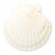 Pendentifs coquillage specials coquille Saint-Jacques Blanc