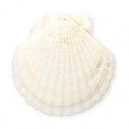 Pendentifs coquillage specials coquille Saint-Jacques Blanc