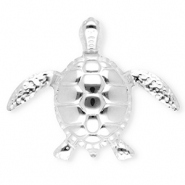 Broches accroche-regard en acier inox tortue Argent&eacute;