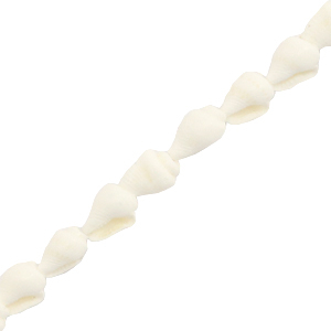 Perles coquillage buccin Blanc