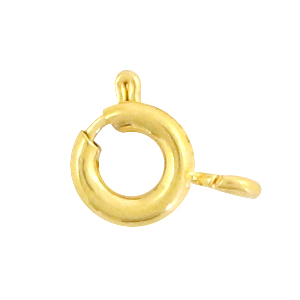 Appr&ecirc;ts en acier inox fermoir bou&eacute;e 5mm Dor&eacute;