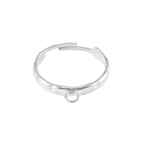 Bagues en acier Inox avec anneau Argent&eacute;