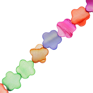 Perles coquillage fleur Multicolore