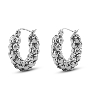 Boucles d'oreilles / puces en acier Inox Argent&eacute;