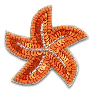 Broches &eacute;toile de mer Orange-transparant doublure argent&eacute;