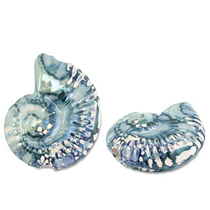 Perles en c&eacute;ramique DQ grecque coquille Vert-bleu-blanc