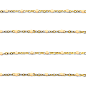 Appr&ecirc;ts en acier Inox cha&icirc;ne maille jaseron 1mm Dor&eacute;-p&ecirc;che nude