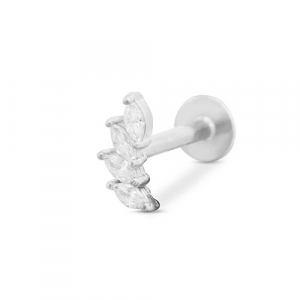 Piercing d&rsquo;oreilles en acier Inox feuille Argent&eacute;