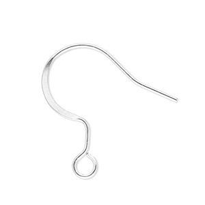 Appr&ecirc;ts en acier inox boucles d'oreilles crochet avec anneau Argent&eacute;