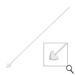 BY31&reg; Appr&ecirc;ts en acier inox clous &agrave; t&ecirc;te coeur 70 mm Argent&eacute;