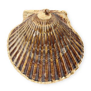 Pendentifs coquillage specials coquille Saint-Jacques Marron fonc&eacute;-dor&eacute;