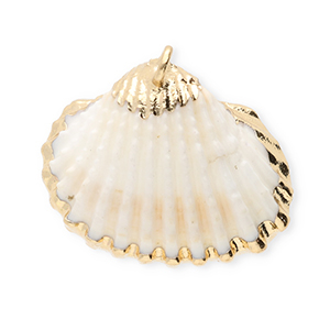 Pendentifs coquillage specials coquille Saint-Jacques Blanc-dor&eacute;