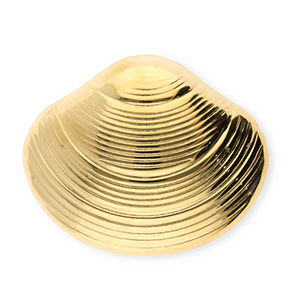 Broches accroche-regard en acier inox coquille Dor&eacute;